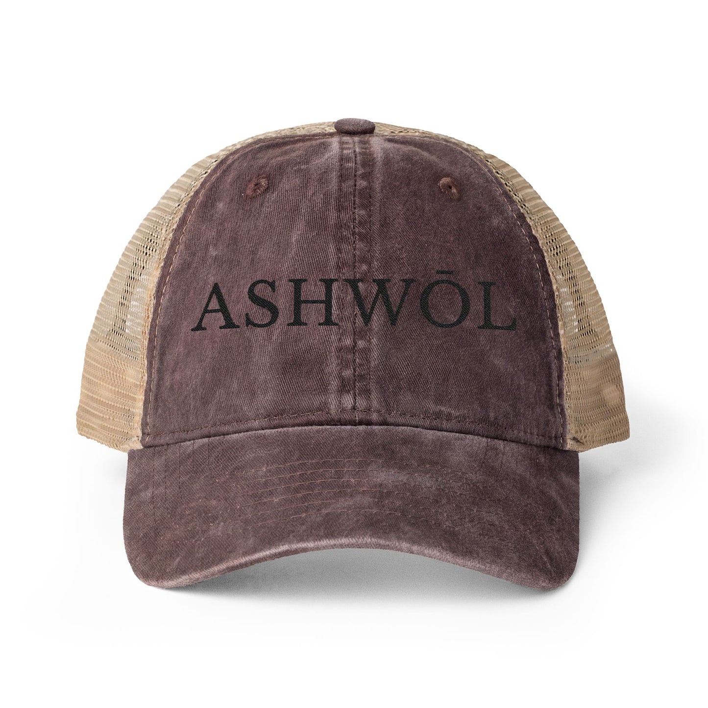 Ashwol Official Washed Mesh-Back Cap