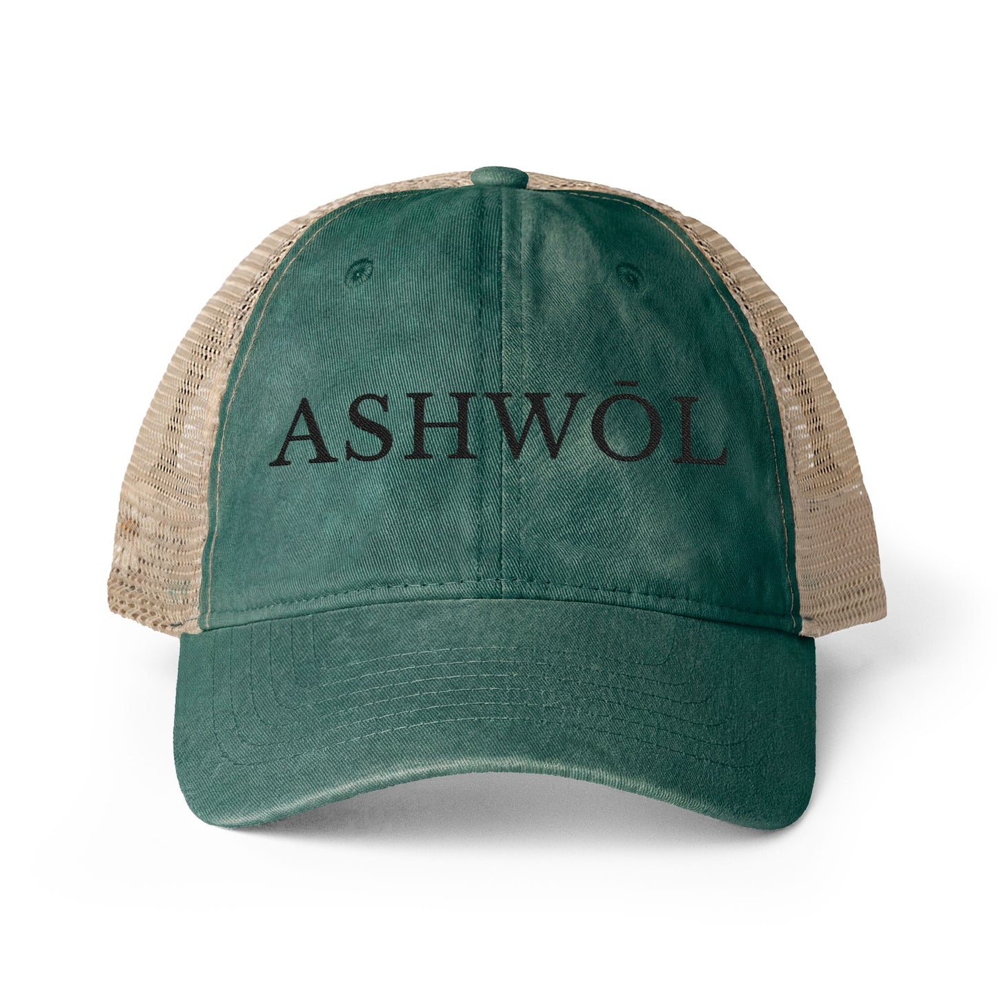 Ashwol Official Washed Mesh-Back Cap