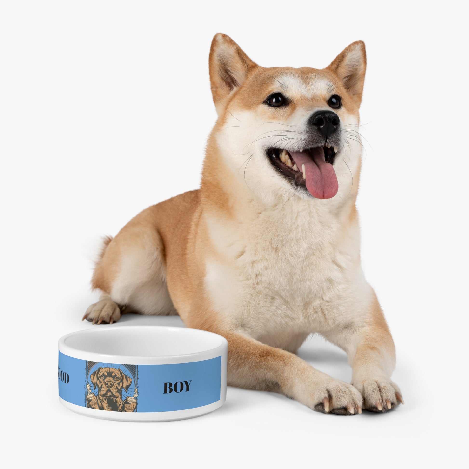 Ceramic Bowl For Dogs