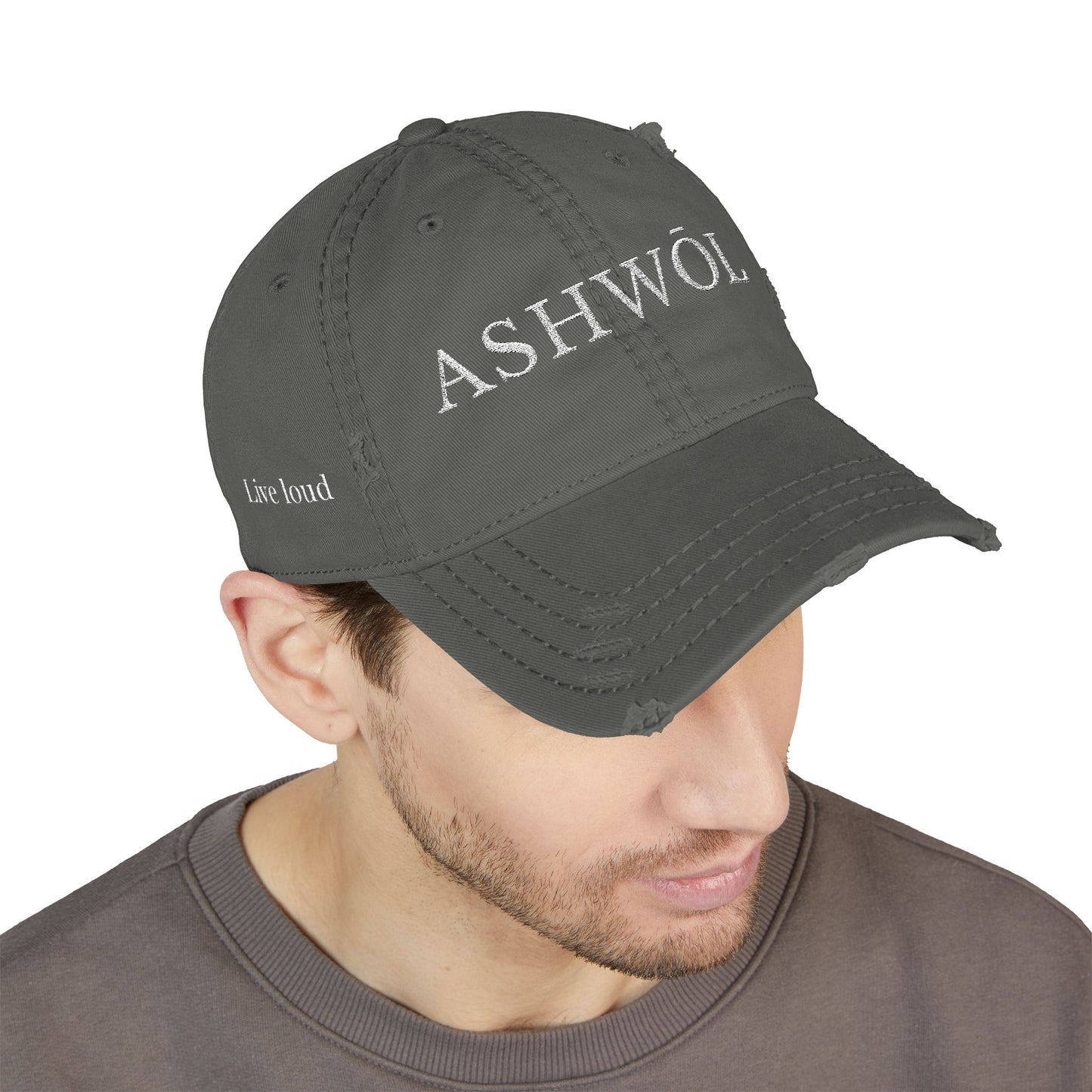Ashwol Official Vintage Baseball Cap